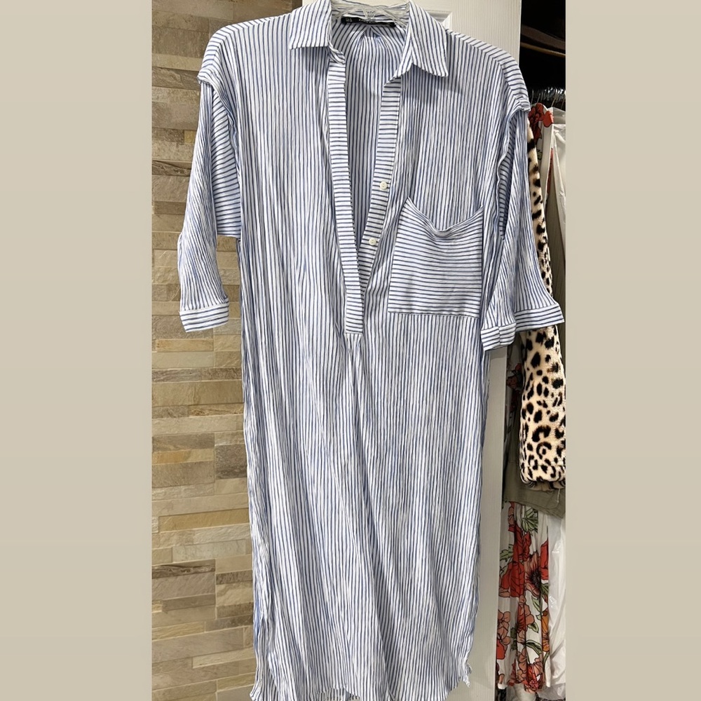 Zara dress